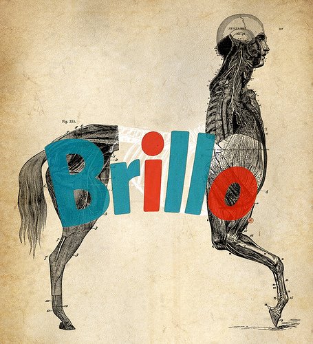 [3397135157_2ab1b9df69.jpg]