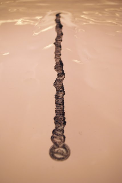 [DSC_0097.JPG]