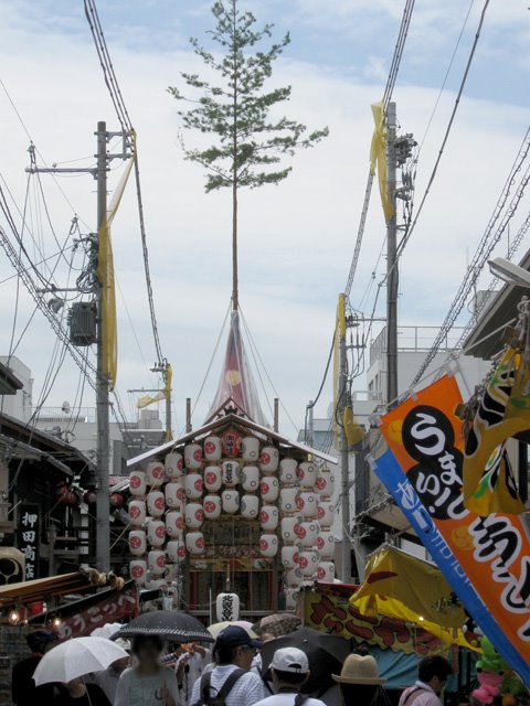 [IMG_0804.JPG]