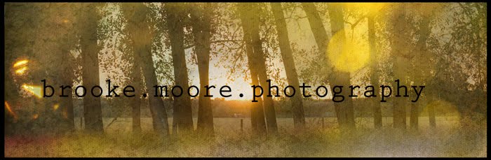 Brooke Moore Photography