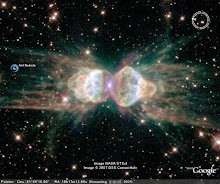 The Ant Nebula