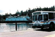 Island transit - Free Bus Service!
