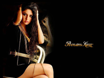 Desi tollywood Girl Actress Poonam Kaur Hot Wallpapers