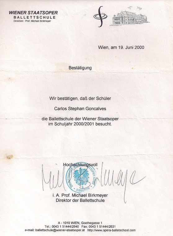 HISTÓRICO DO PROFESSOR STEPHAN