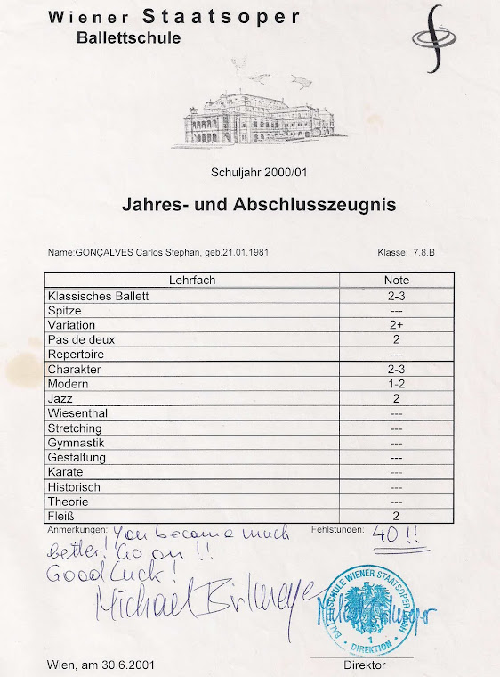 HISTÓRICO DO PROFESSOR STEPHAN