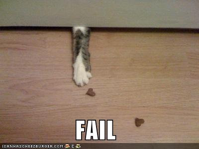 Cat+-+Fail.jpg