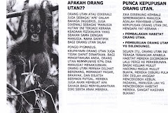 PEMPLATE YG KAMI EDARKAN !!