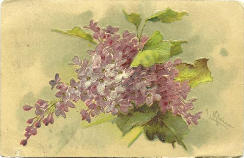 Cassandra Considers When Lilacs Last in the Dooryard Bloom’d...