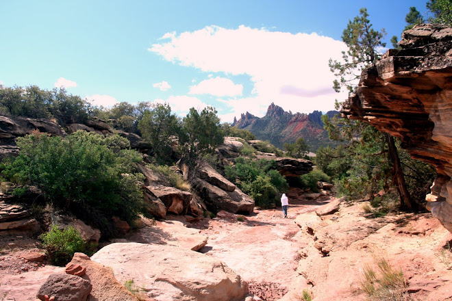 WALKING IN THE WASH -  LOT #69