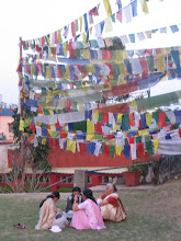 Banderes d'oracio tibetanes