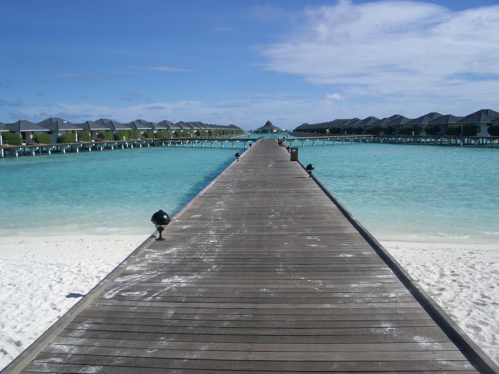 [IMGP0637.JPG]