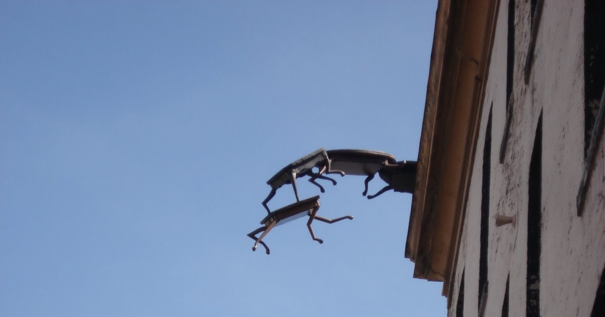 usfblogtastic Thrown Out The Window