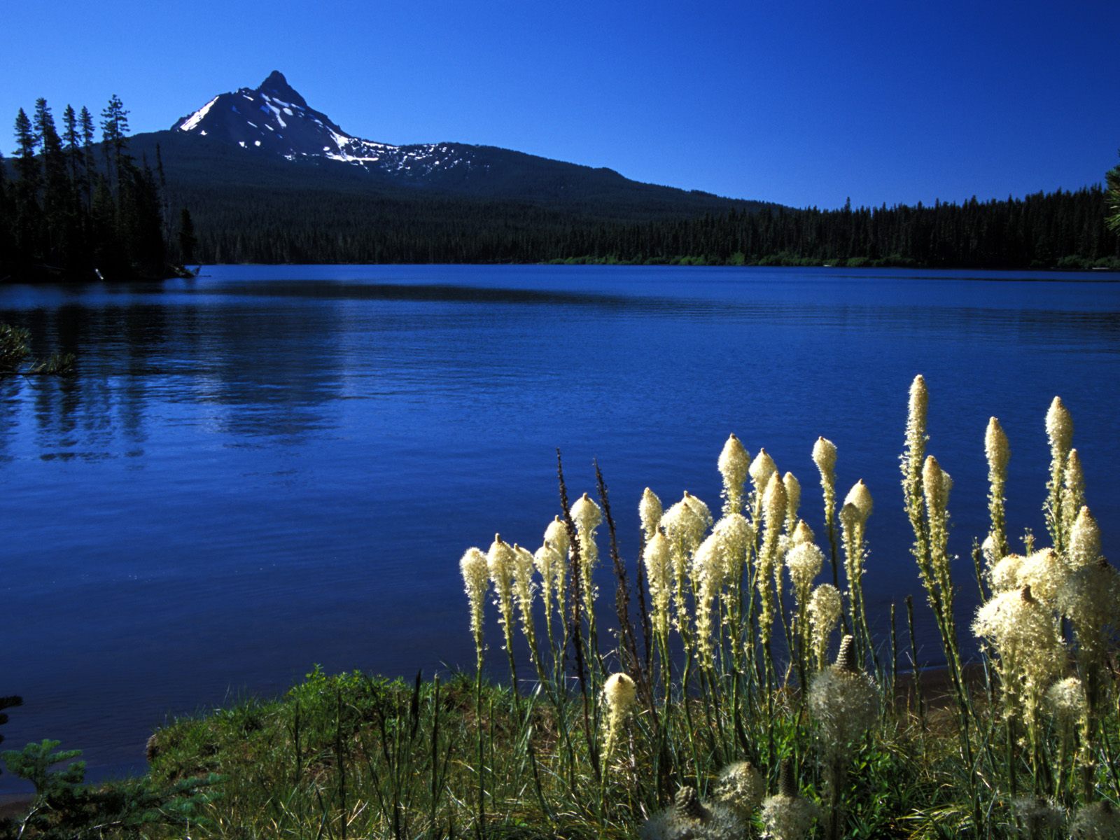 [[WallpaperHD]Mount+Washington+From+Big+Lake++Oregon.jpg]