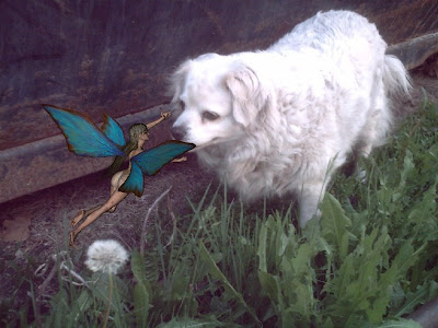the dirty fairy