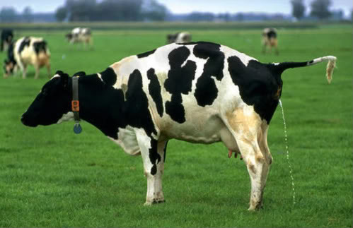 acetone etg urinalysis