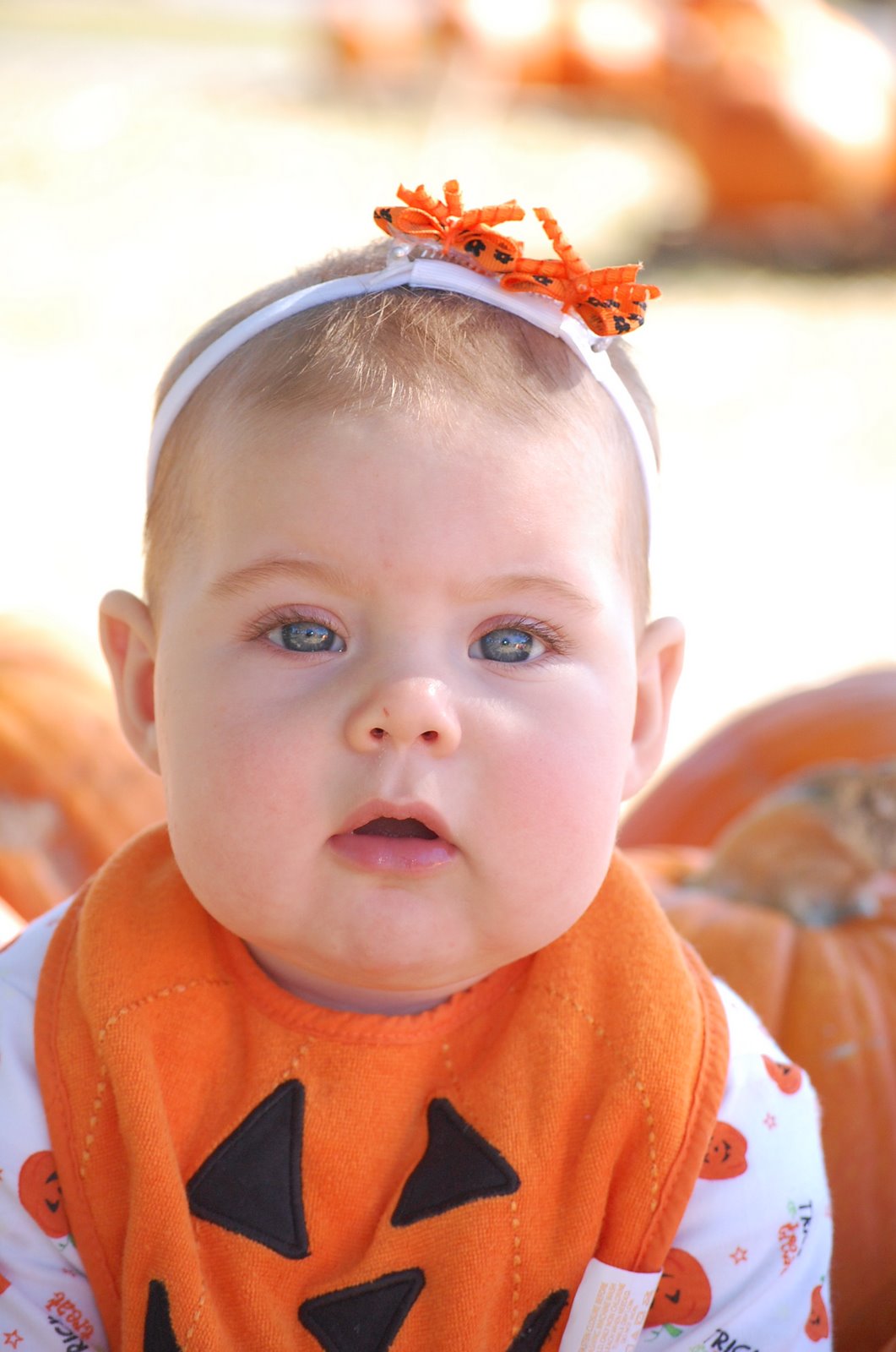 [ava+pumpkin+patch+033.JPG]