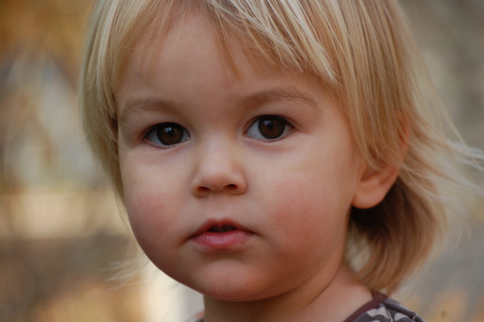 [Riley11.08+377.JPG]