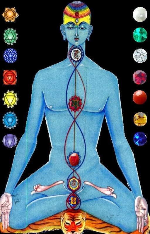 The Chakra Goddess