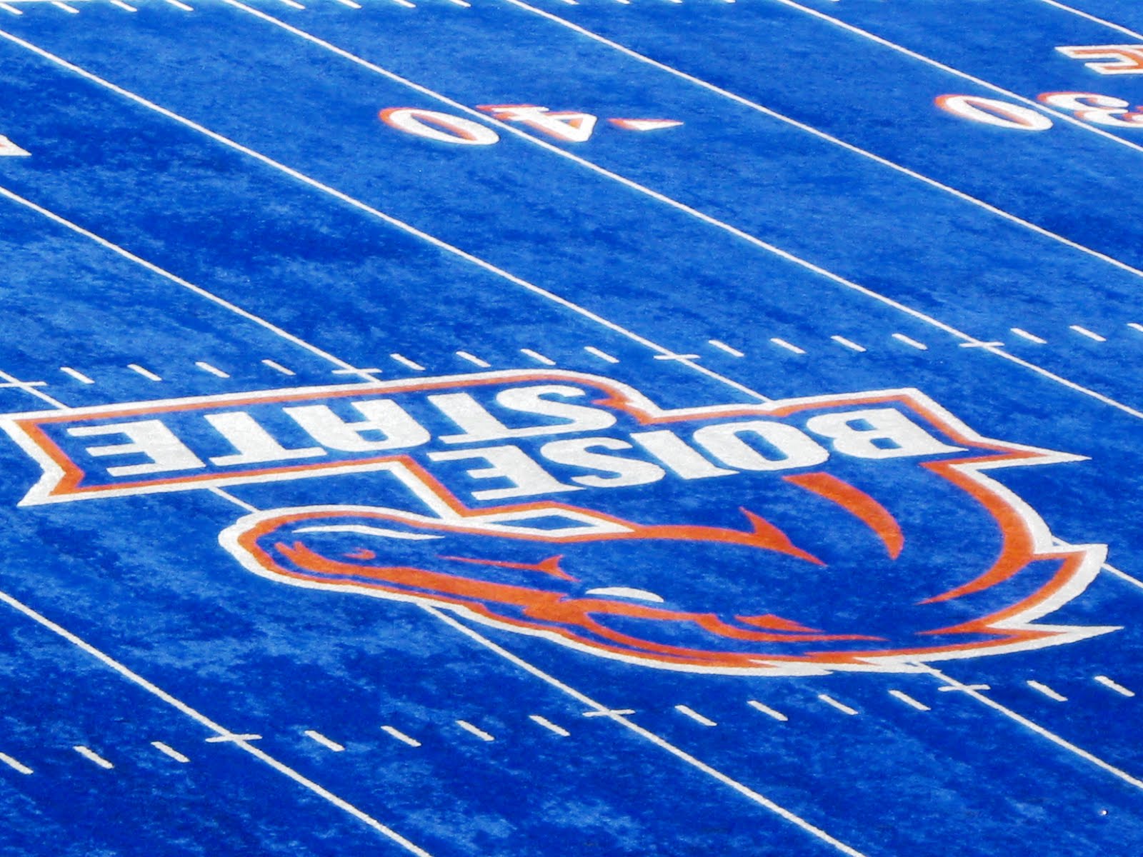 Blue Turf