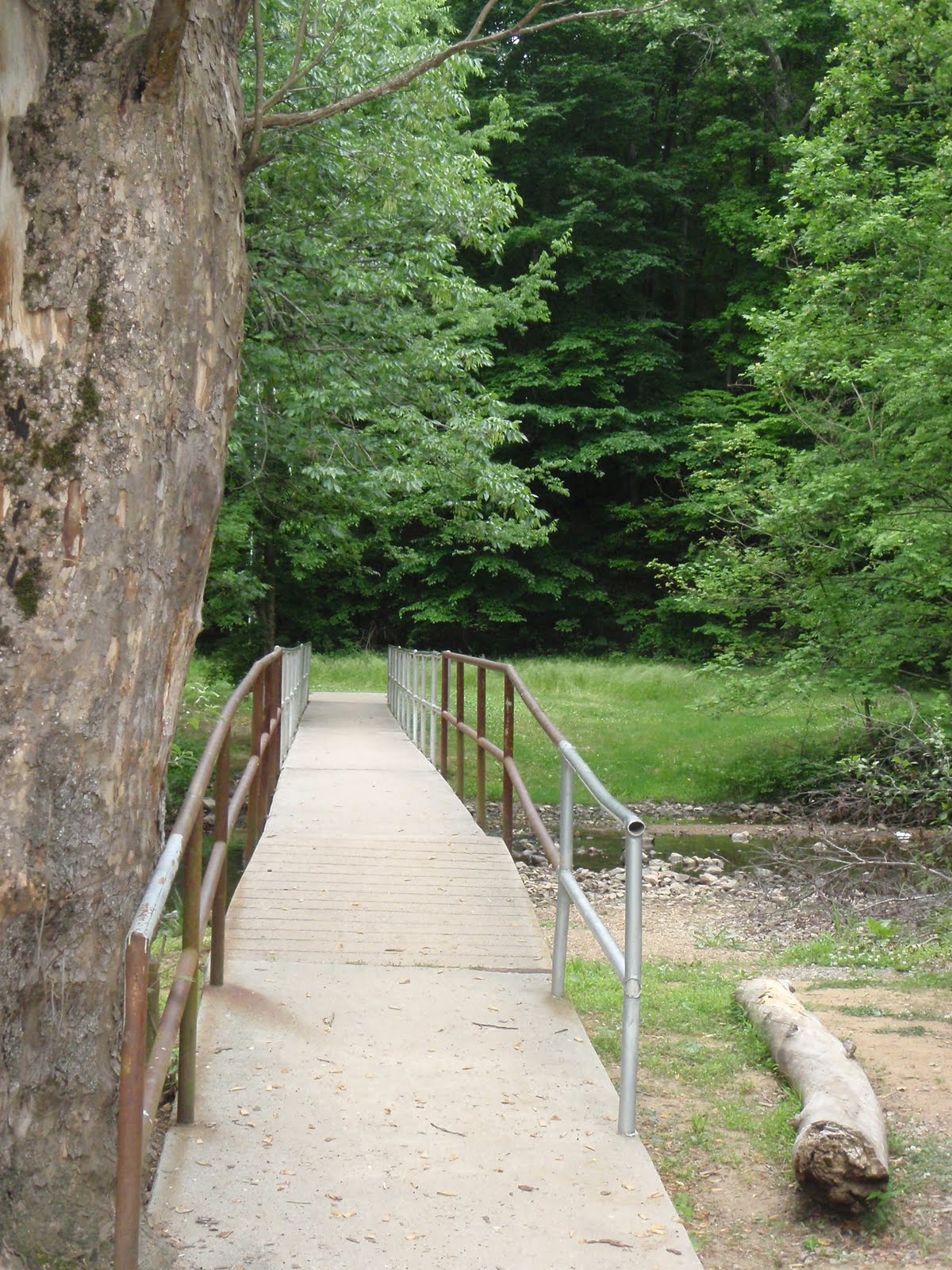 Notes from a Mom in Chapel Hill (A Guide) Umstead Park Chapel Hill