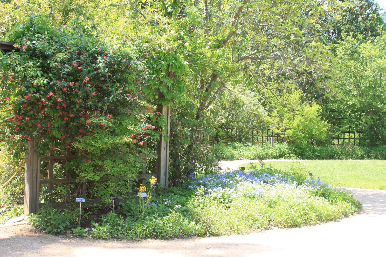 Notes from a Mom in Chapel Hill (A Guide) NC Botanical Gardens