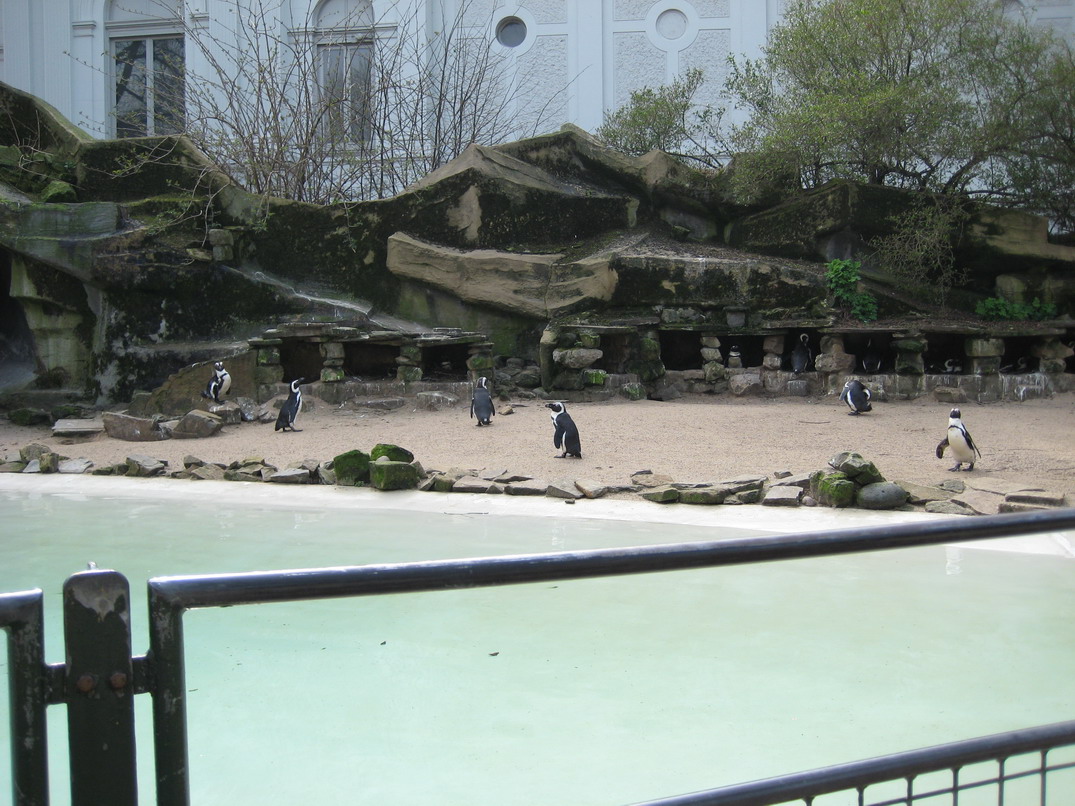 [IMG_0470_resize.JPG]