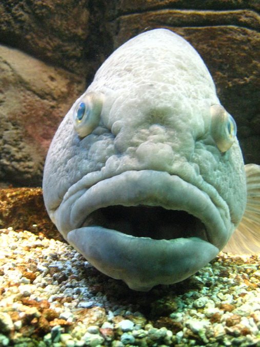 [IMG_0424_resize.jpg]