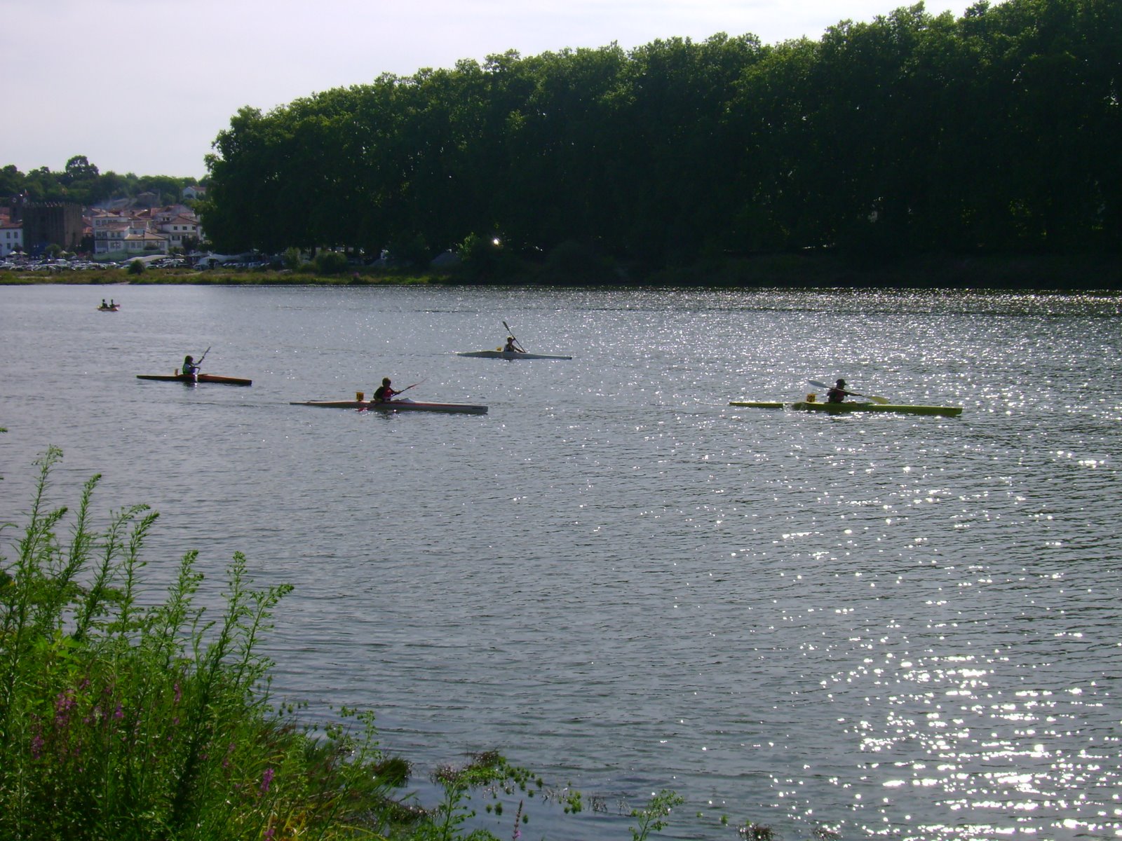[DSC04832.JPG]