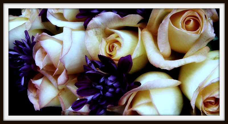 [Mums_N_Roses_II_by_plumcider.jpg]