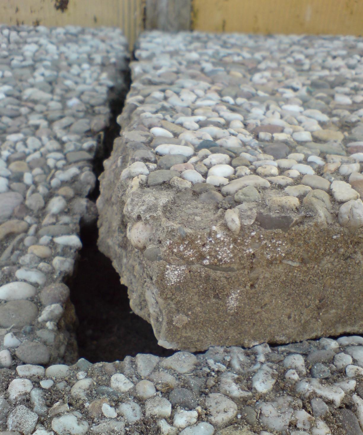 Vorgarten: Juni 2010