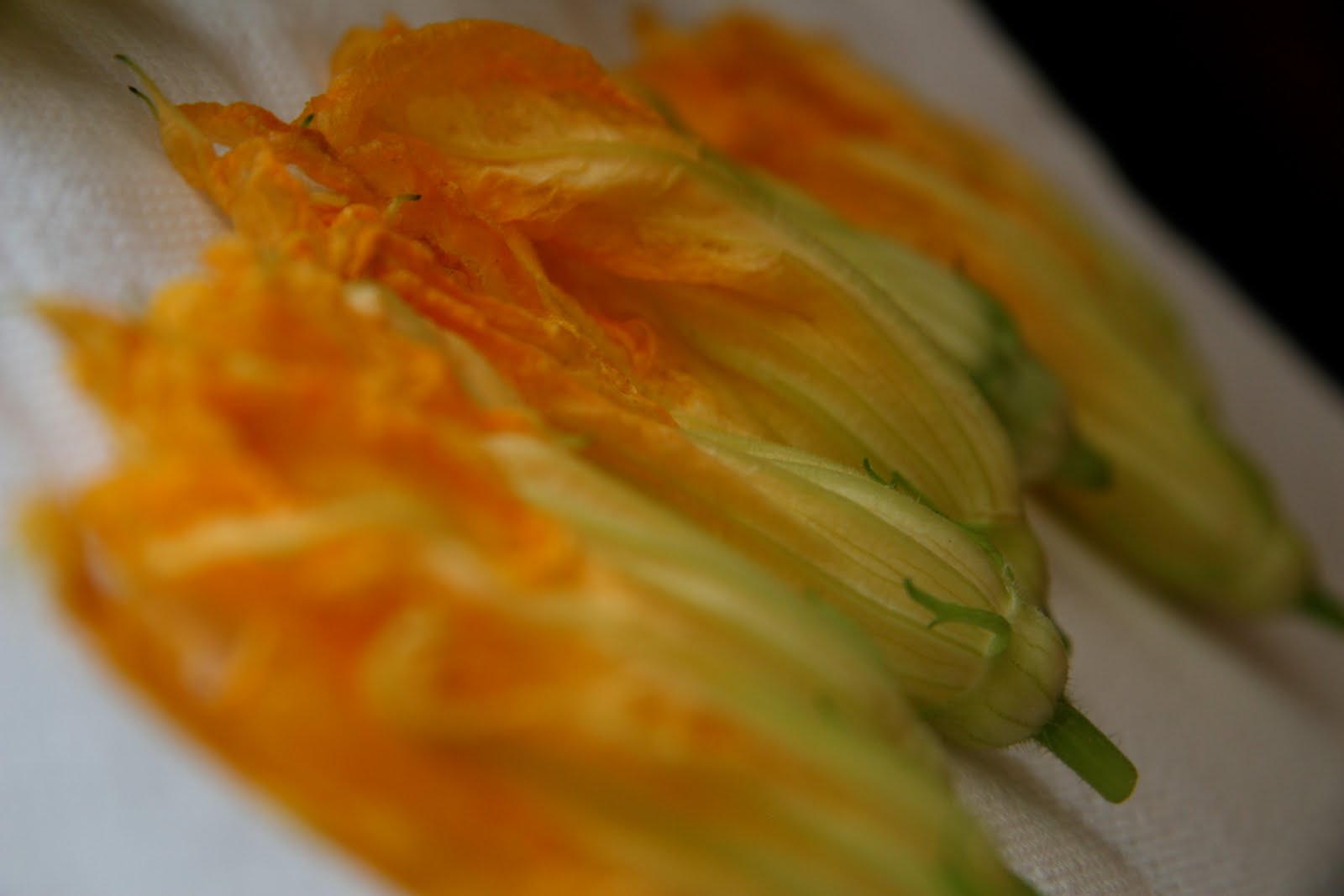 Fried Squash Flowers » Local Food Rocks