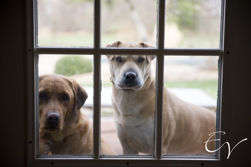 [StradtnerPreceremony029.jpg]