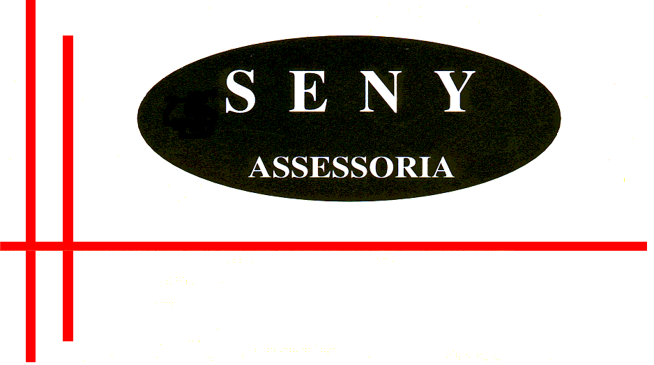 Asesoria Seny