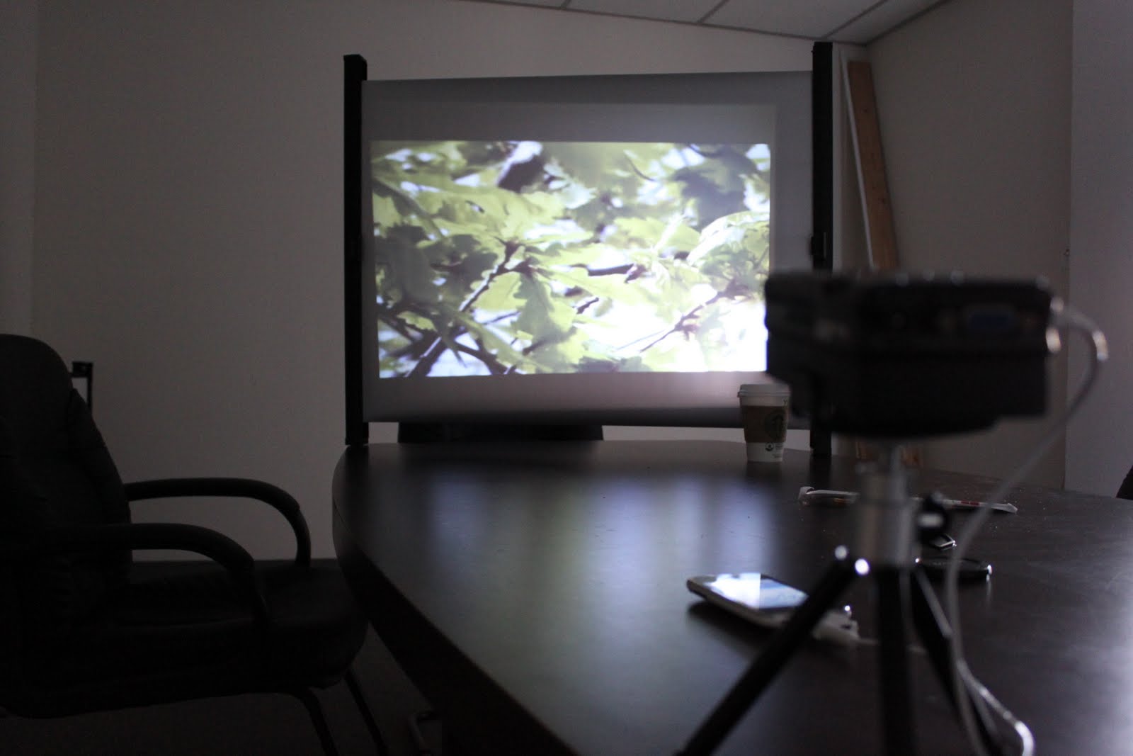 Pico Portable Mini Projectors iPhone Pico Projector Setup