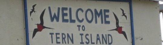 Welcome to Tern Island