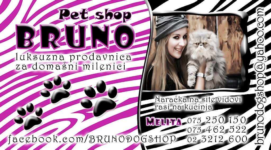 Bruno Dog Shop