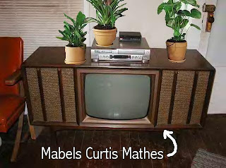 Curtis Mathis Console TV with plants on Top