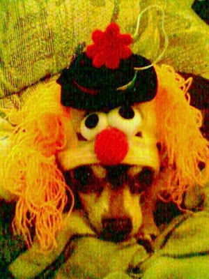 Halloween Costume Dog Mardy