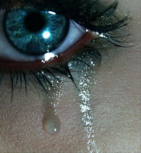 amor no es aquello que queremos sentir sino aquello que sentimos sin querer.