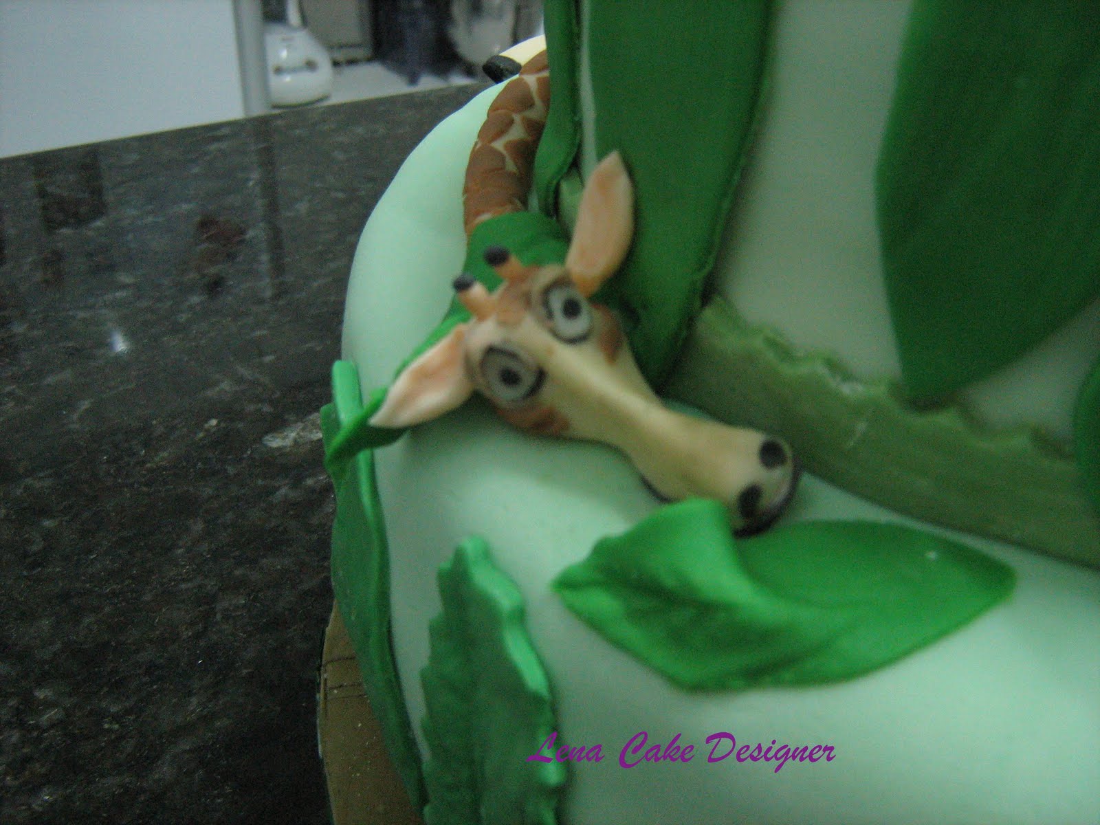 [madagascar++2+008.jpg]