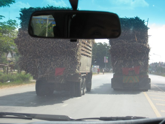 [mini-Sugar+cane+trucks+overtaking.JPG]
