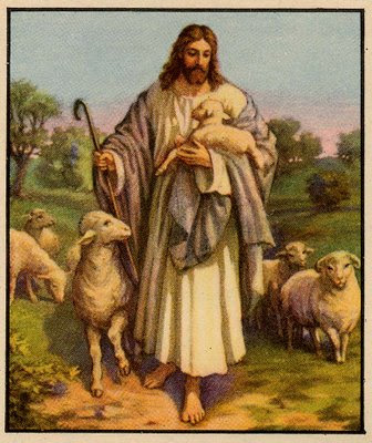 shepherd