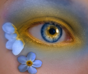 [Forget_Me_Not_by_Emerald_Depths.jpg]