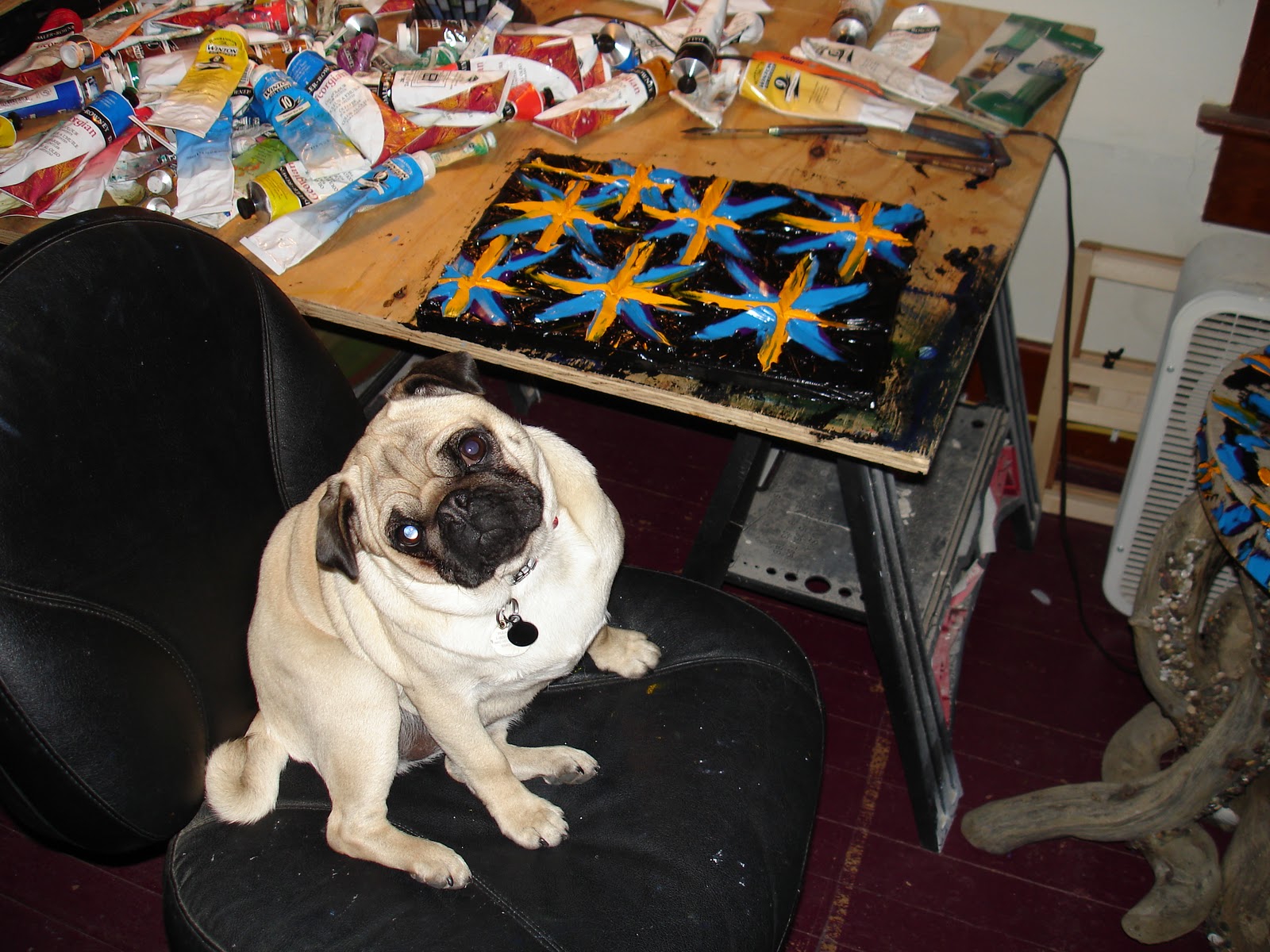 Pug Doritos