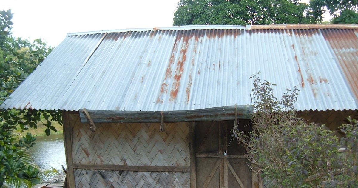 Water & Sanitation in Bangladesh Traditional Rainwater harvesting