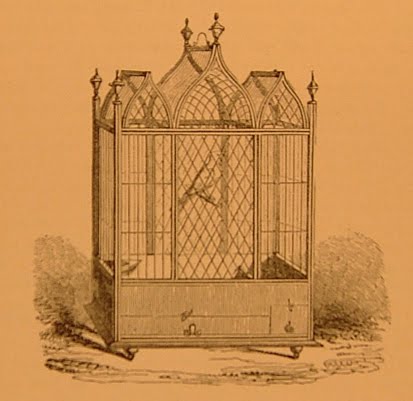 [BirdCage3.jpg]