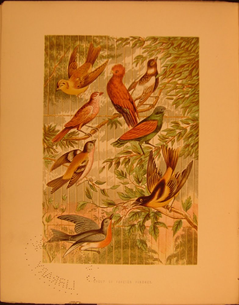 [2004_0311Image0007.jpg]