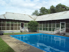 Tea plantation trip