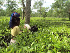 sylhet