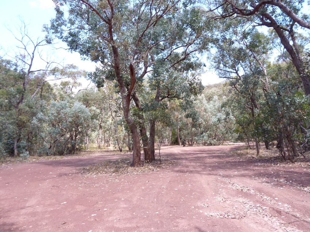 Back To Nature Campsites Wellington River Alpine NP VIC